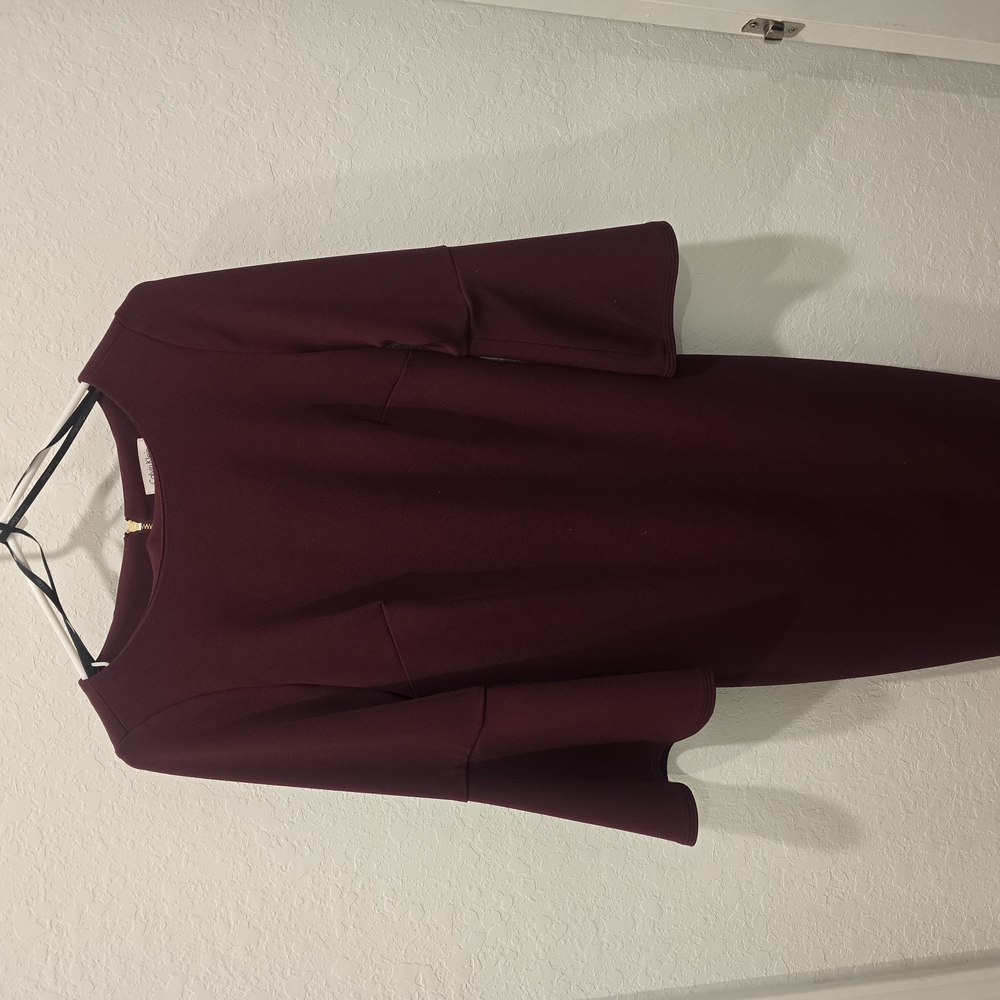Elegant Burgundy Dress